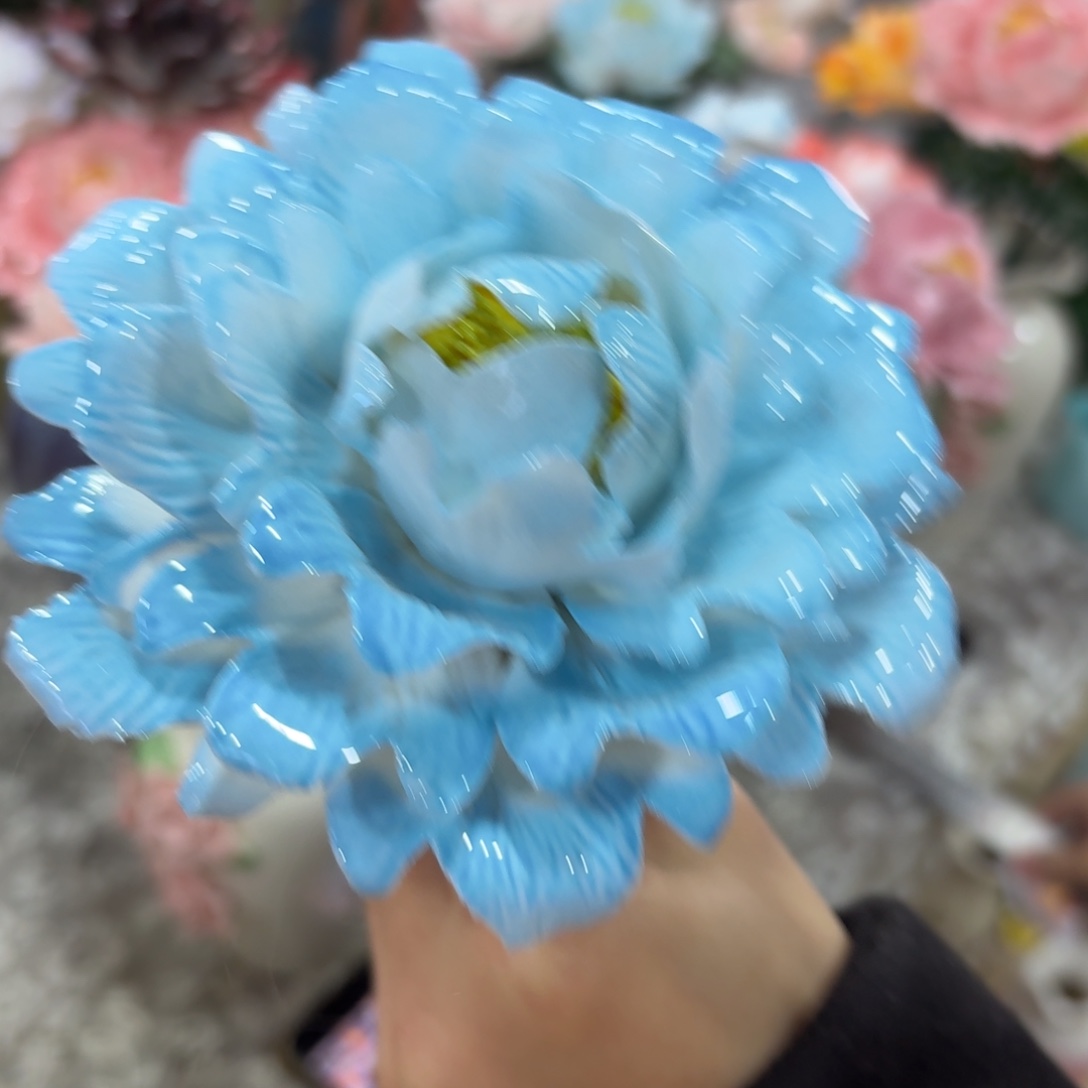 陶瓷花拍满20元发货，爱退款拉黑