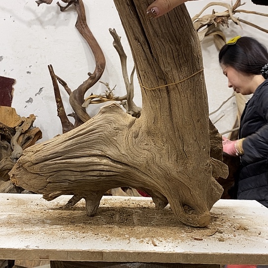 用***1柏木我们都是好孩子