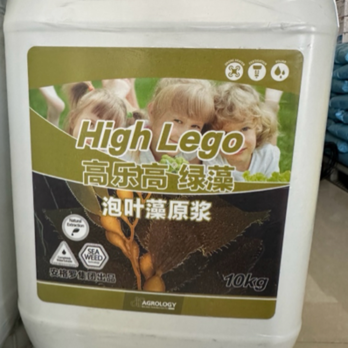 进口泡叶藻原浆高乐高绿藻安格罗集团生根绿叶抗逆