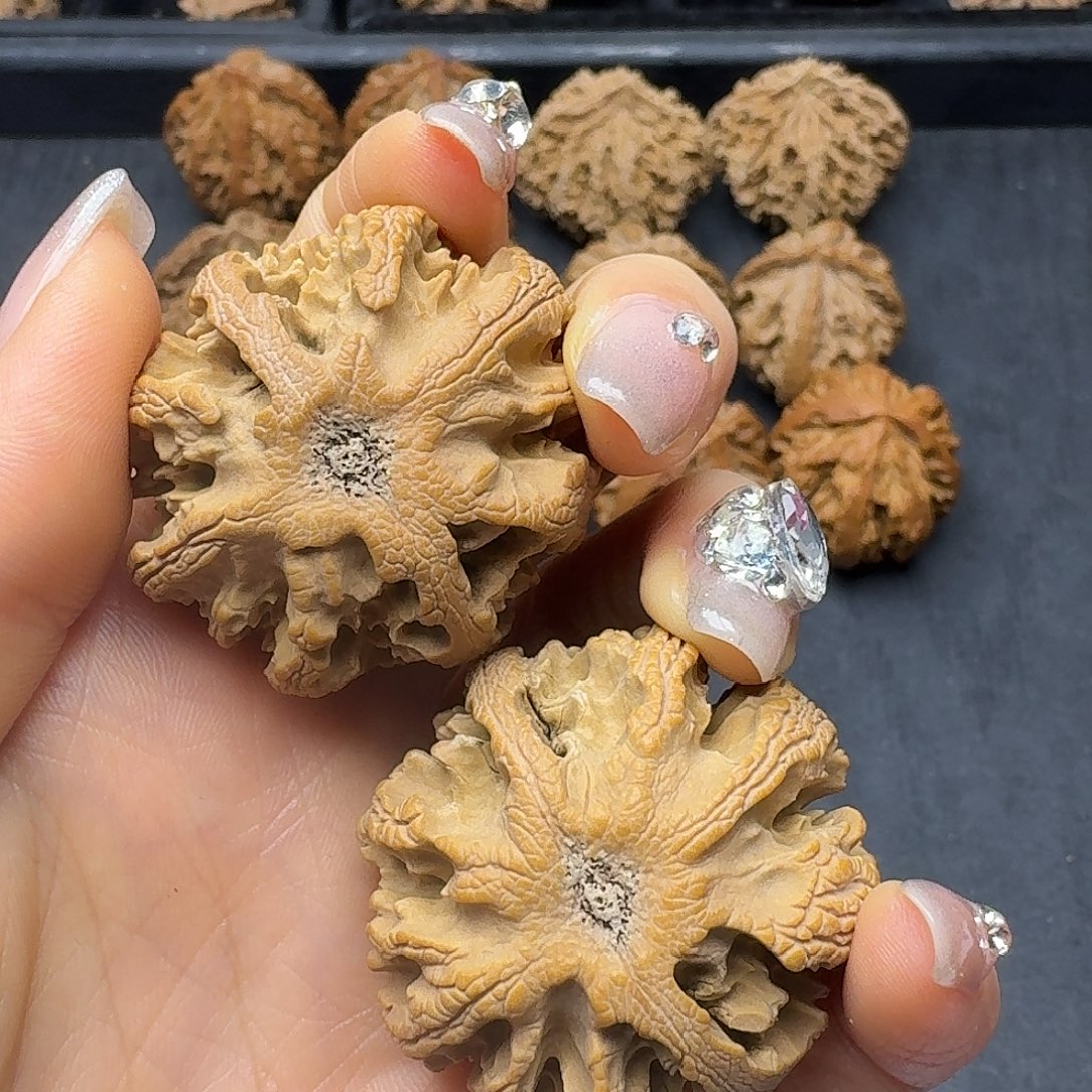 空***•桃木突突突突突突突