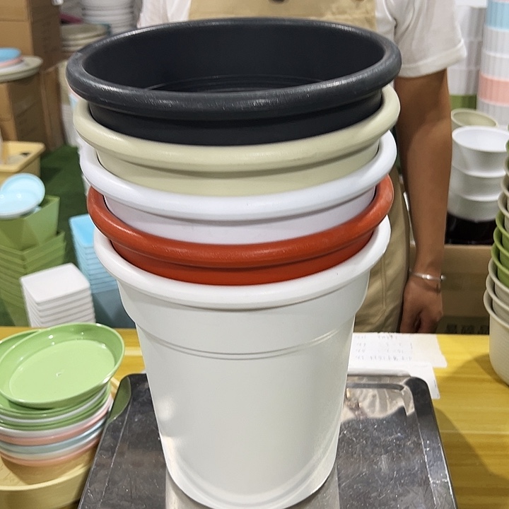 翻边口23高26混色无托5只