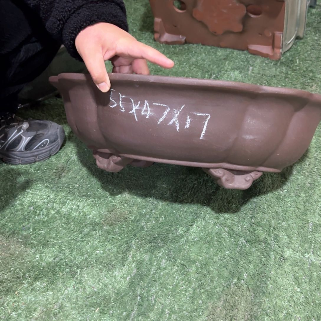 紫砂花盆琪哥的微博视频