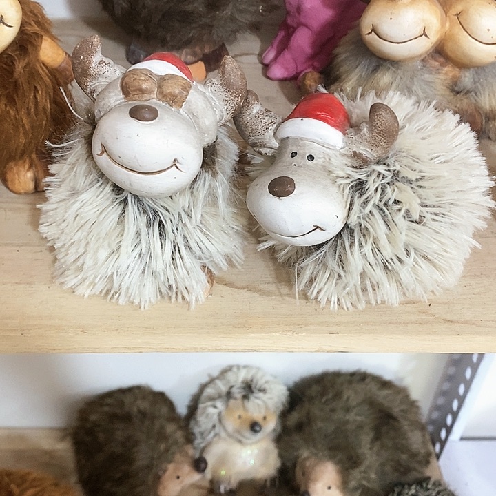 树脂Xvhhghhjjghhhb