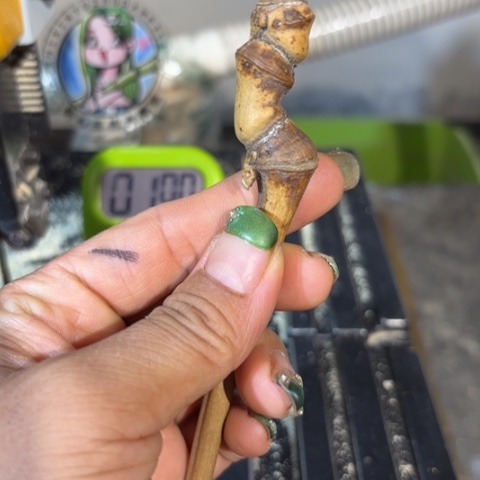 竹牛**个实心竹竹竹竹竹竹竹竹竹