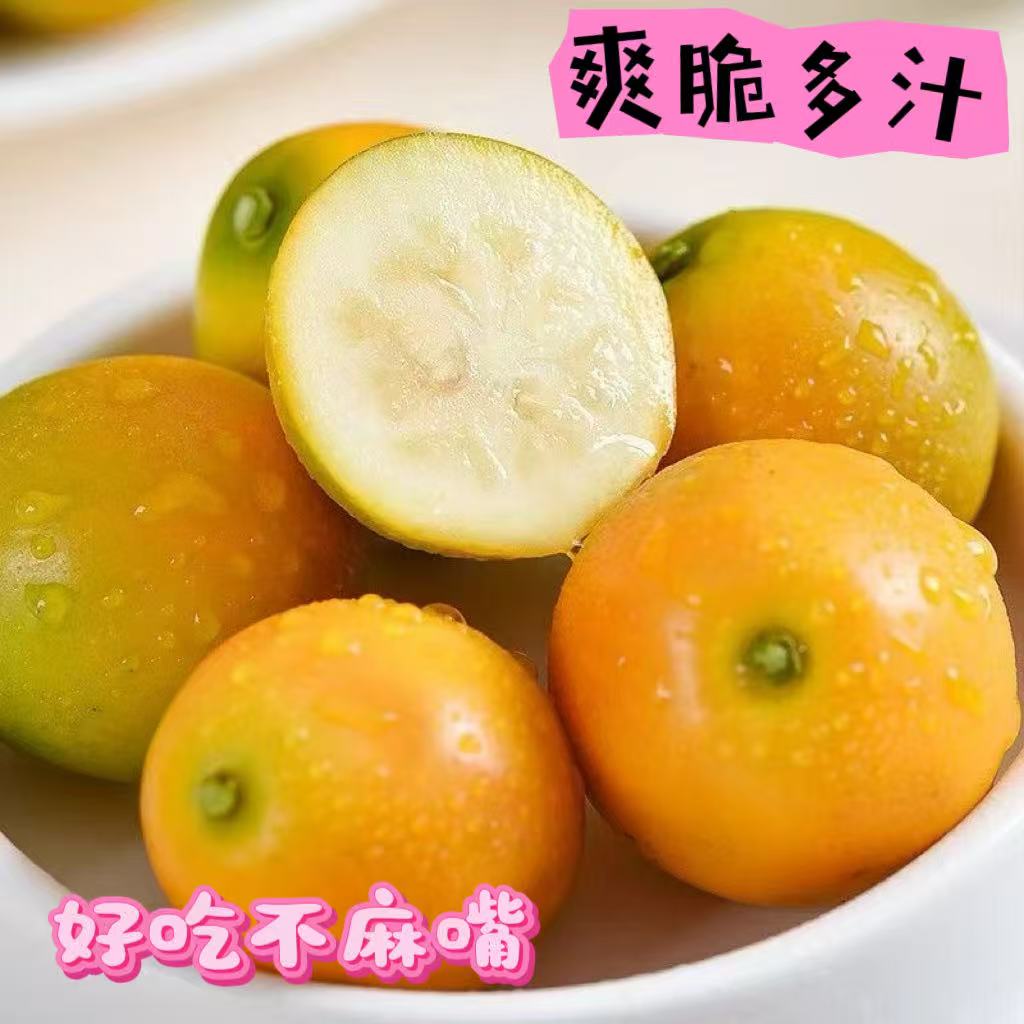 【日常价】广西融安脆皮金桔2025新鲜应季无酸当季水果包邮果园直发
