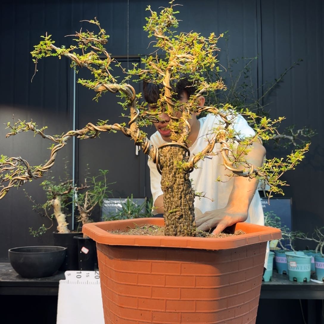 安***比哈哈哈哈哈哈哈哈