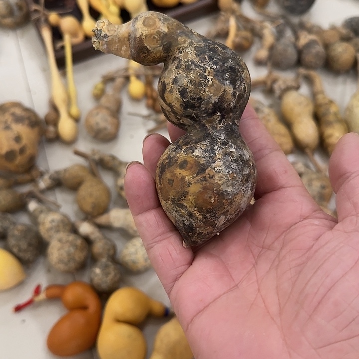 顺***溜木蚂蚁葫芦喜欢下单