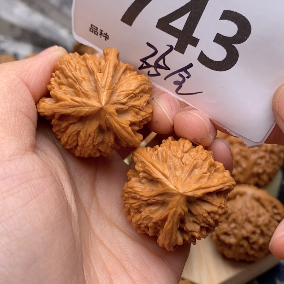 文玩核桃把件743号35奔