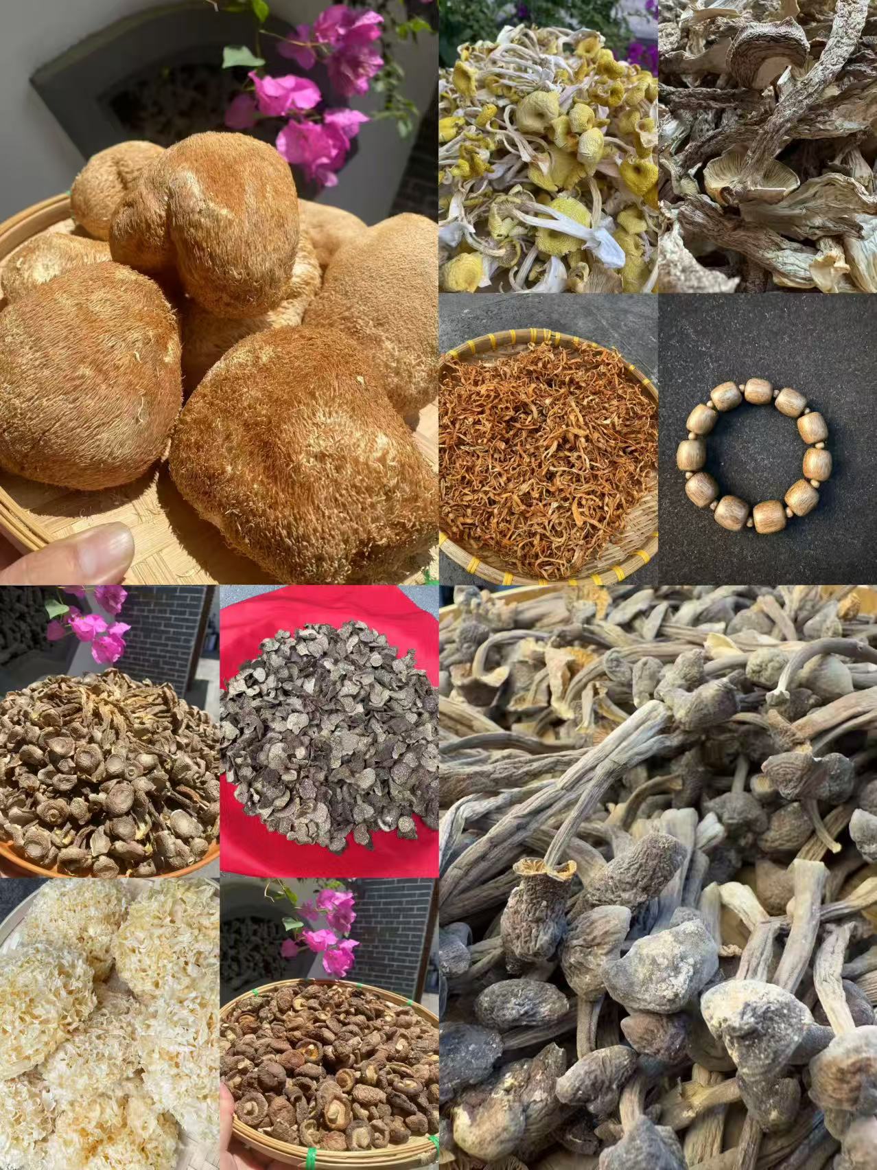 （文总专用土特产）FL567多样性发货 重量24克左右