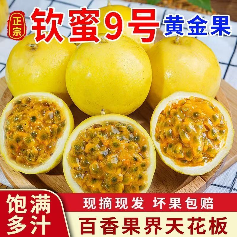 X钦蜜9号黄金百香果新鲜采摘浓郁香甜赠送开果器
