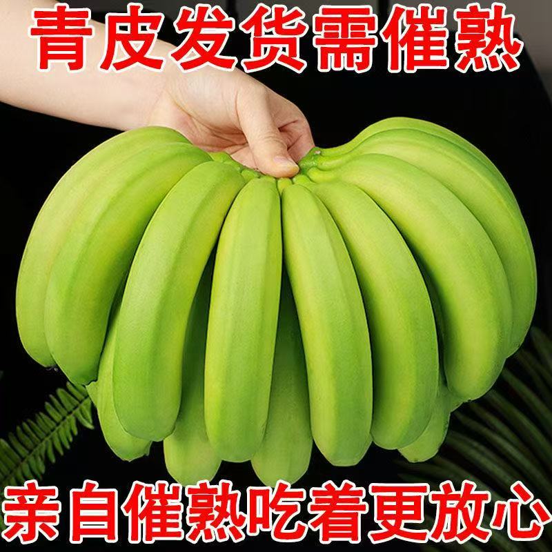 【不打催熟剂/需要自己催熟】云南新鲜青香蕉软糯香甜新鲜发货包邮x