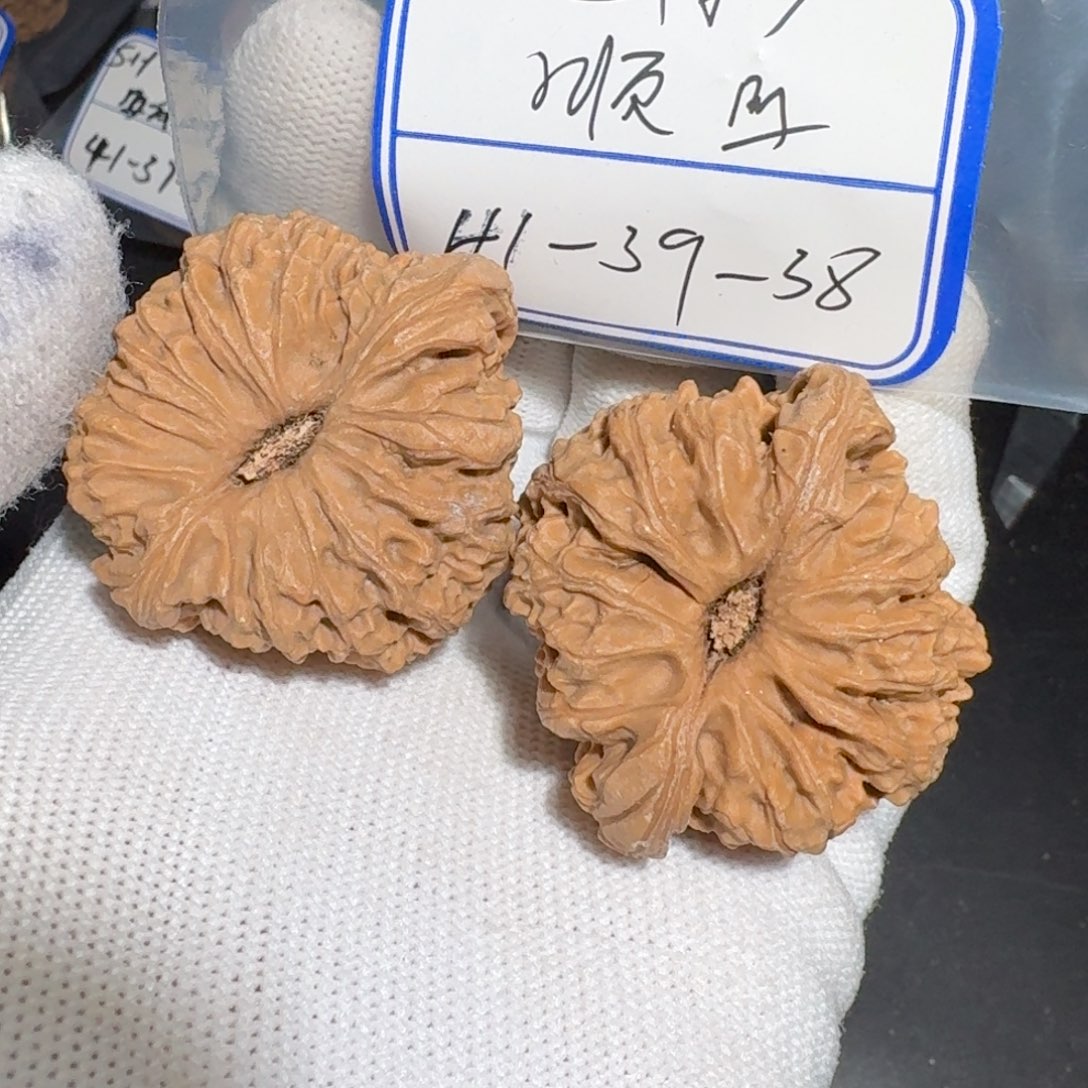 文玩核桃把件31号村将h