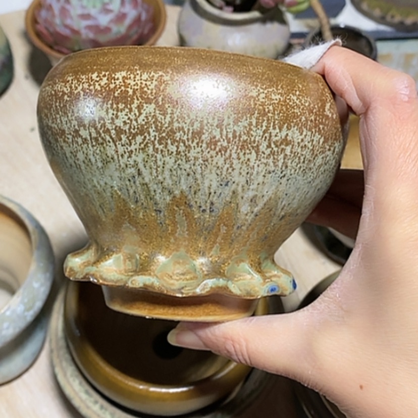 【闪购商品】红陶口10