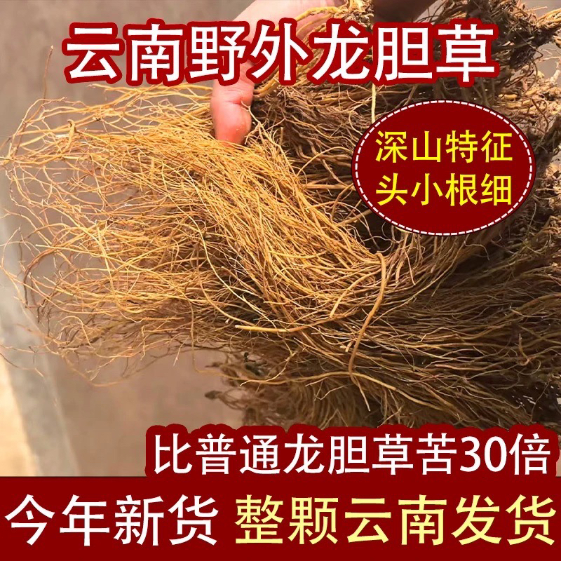 龙胆草正品云南龙胆草新货农家苦胆草整颗新鲜晒干龙胆草根泡煮水