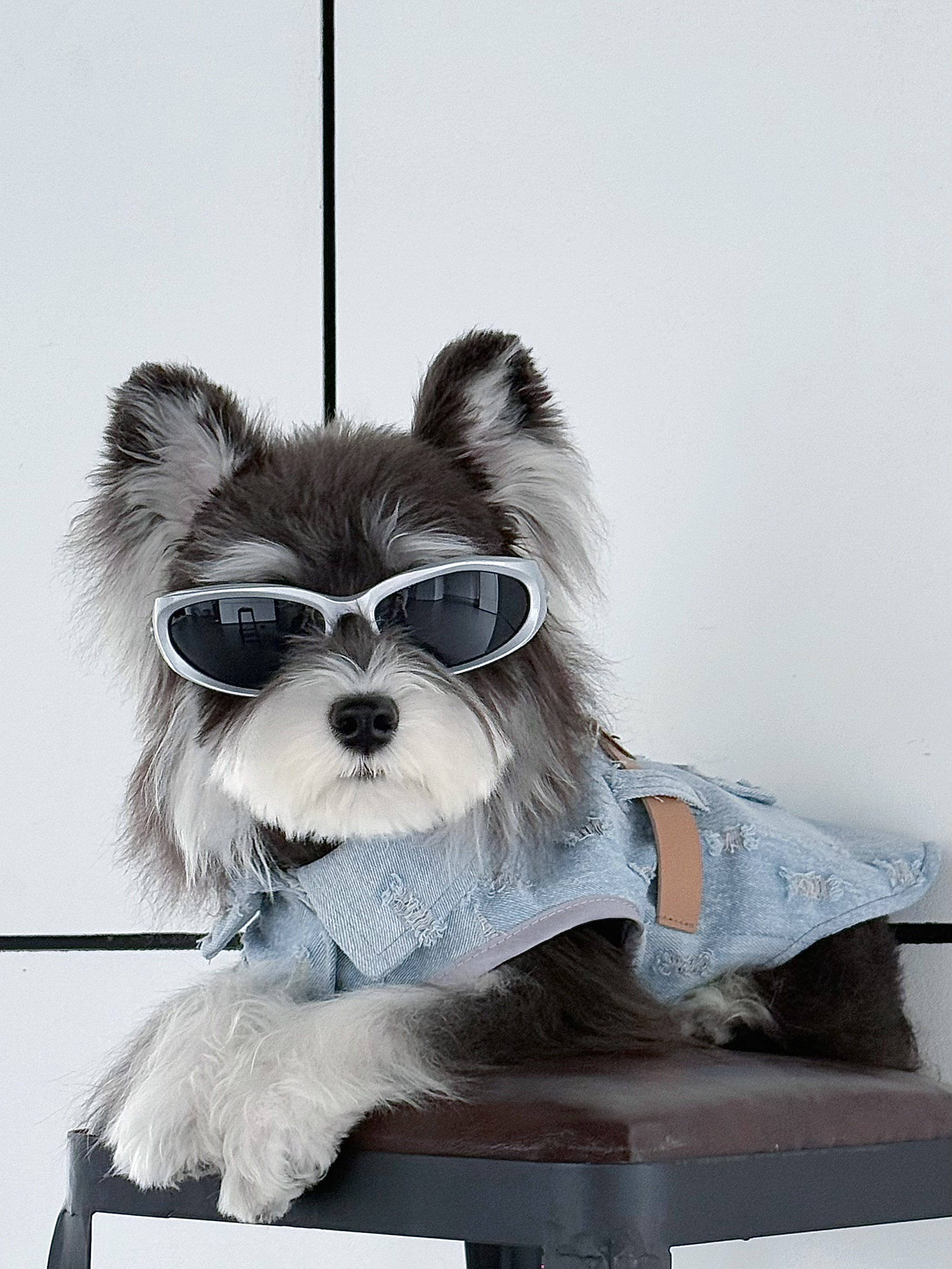 断码～No退No换春秋网眼内里牛仔外套带牵引扣腰带时尚百搭