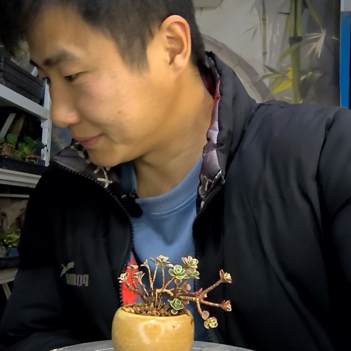 尨*中青园艺一物一拍花400