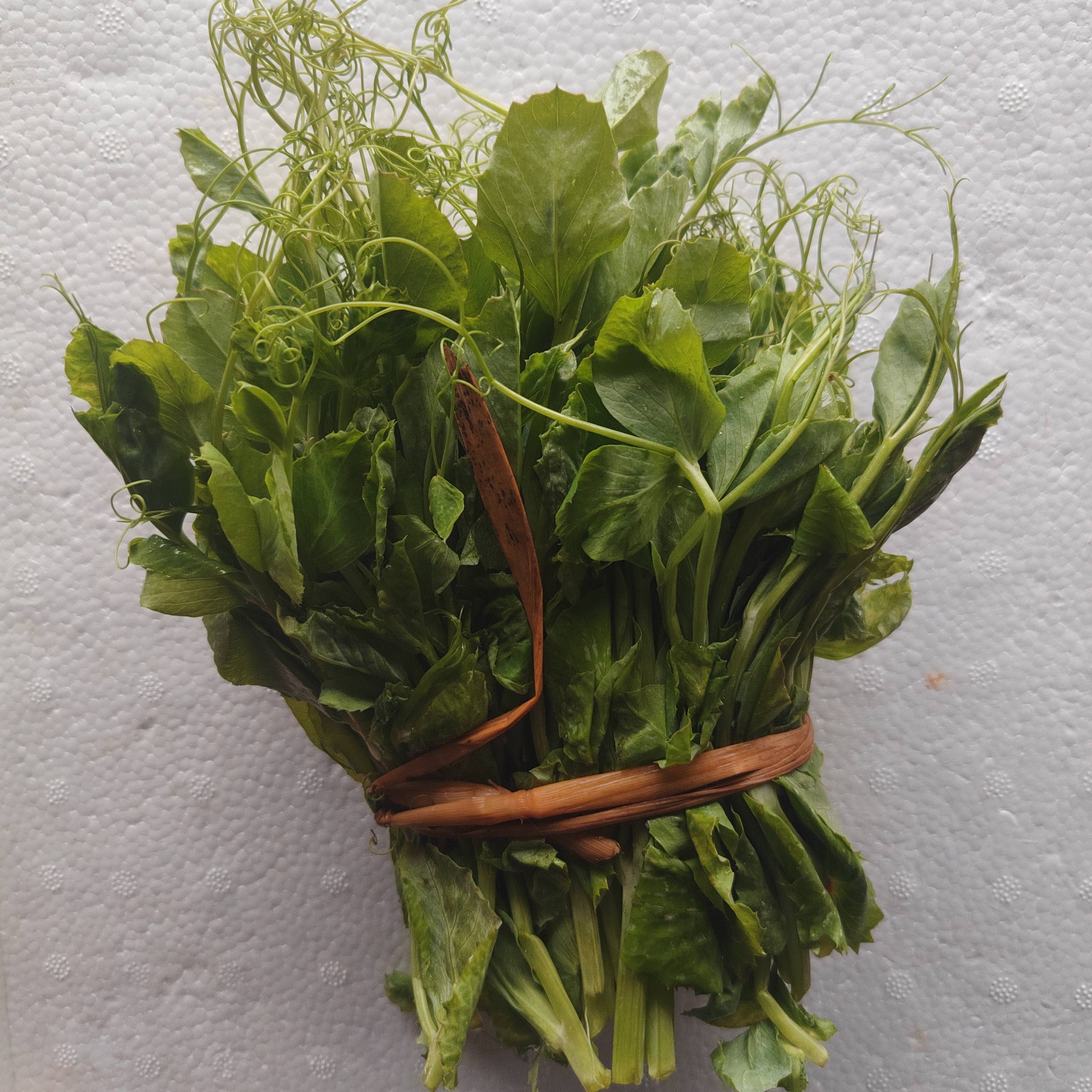 （豌豆苗）湘西本地农家自种