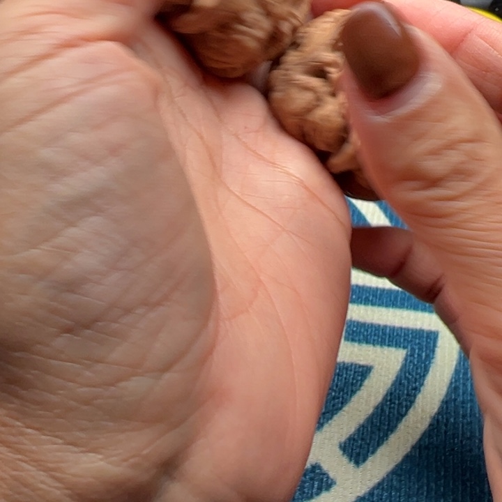 桃核吊坠文玩核桃粗筋