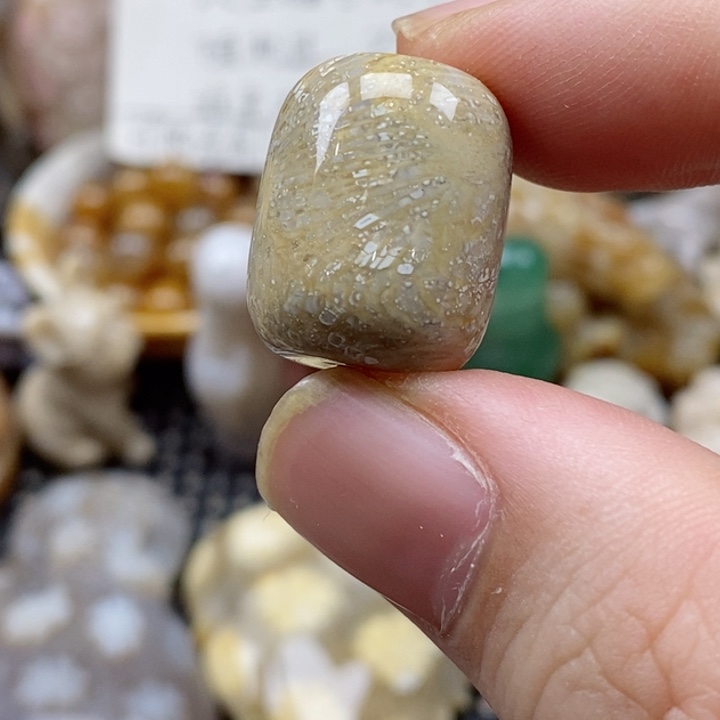 硅化珊瑚（珊瑚玉）颈饰未镶嵌下*伦通孔