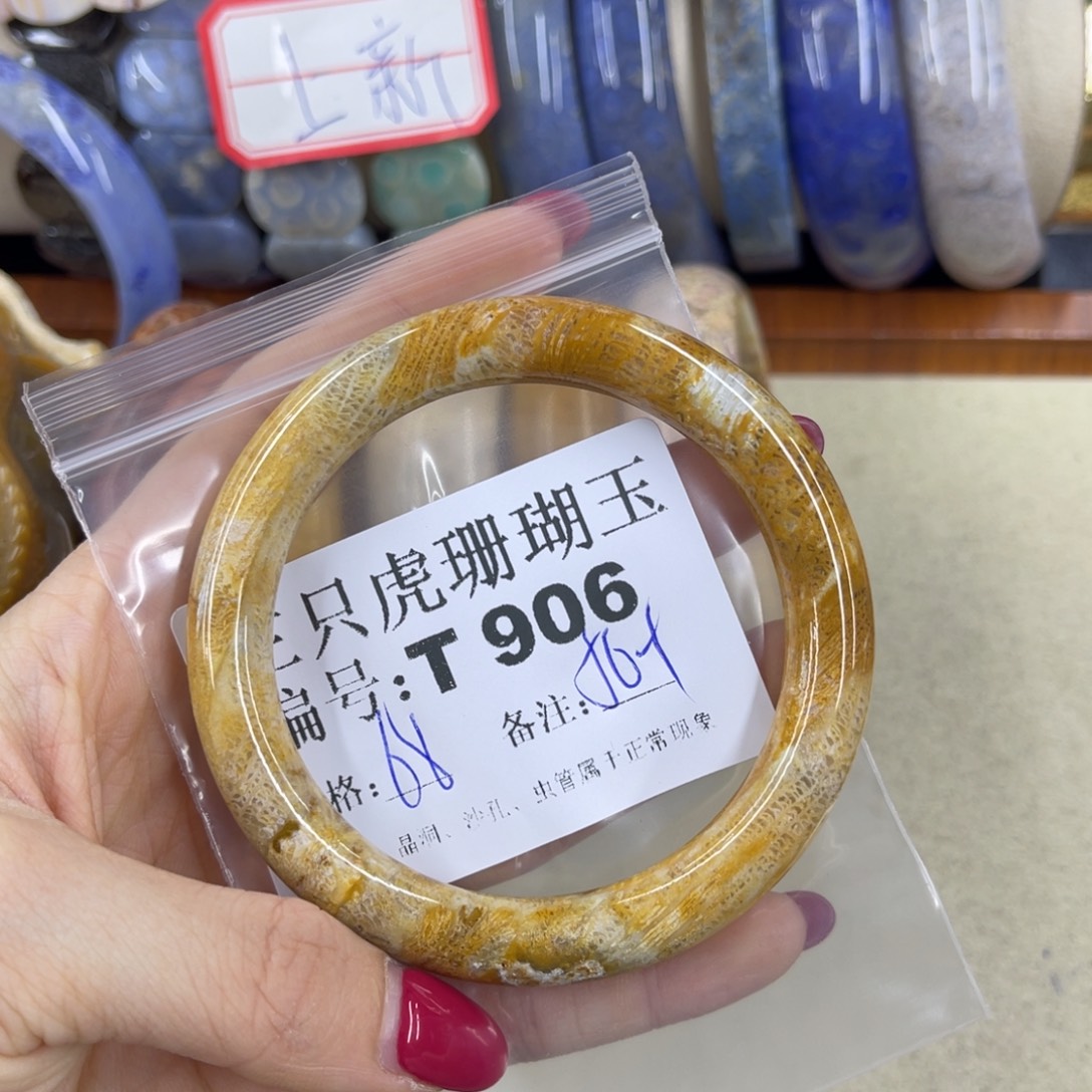 N***9硅化珊瑚（珊瑚玉）h未镶嵌