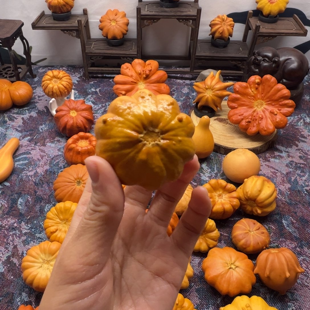 墨西哥葫芦双色小花花