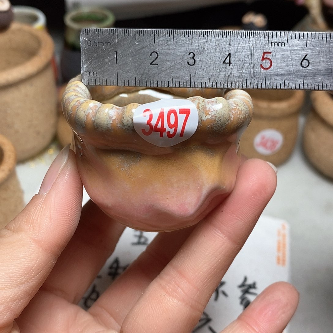 红陶拍5送一个小