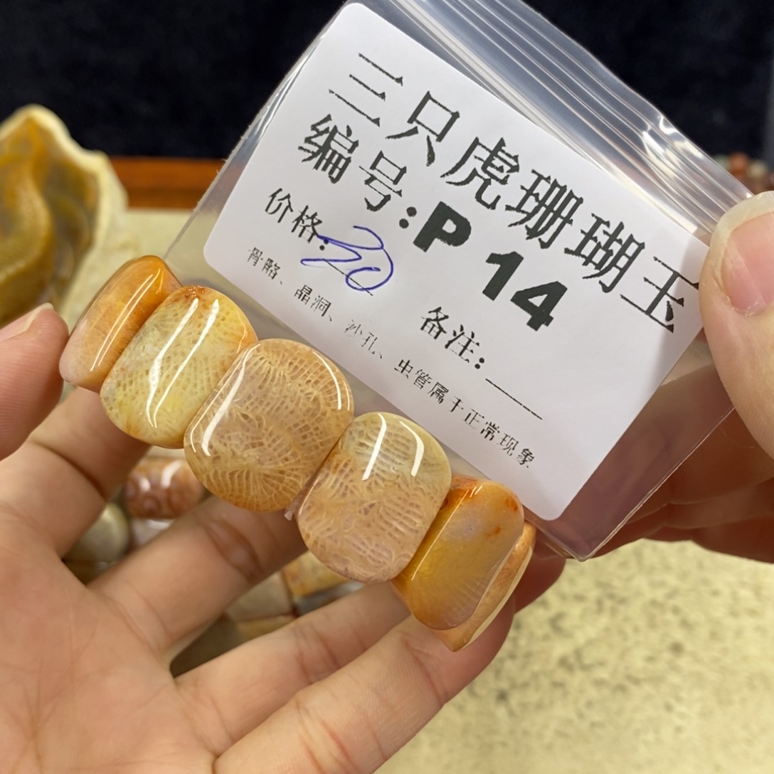 硅化珊瑚（珊瑚玉）1未镶嵌与**邻