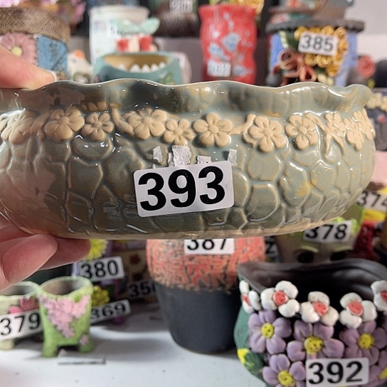 红陶多肉植物花盆