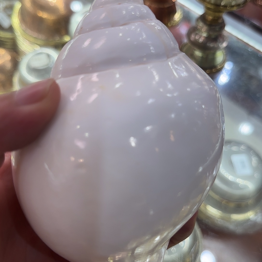 纯天然尼泊尔精品海螺