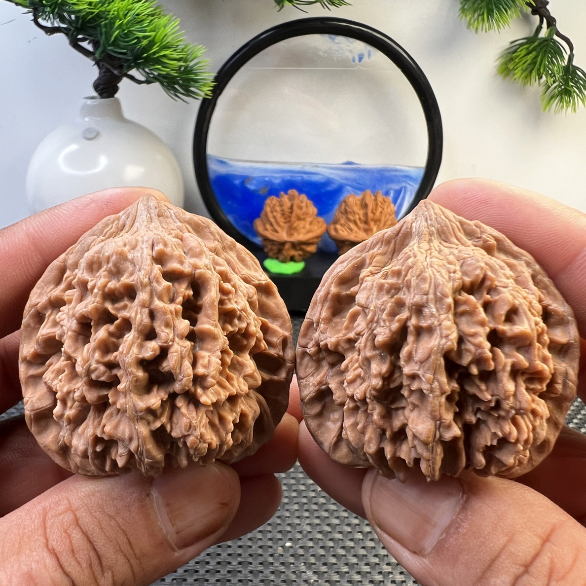 文玩核桃全品老树高桩满天星47尺寸