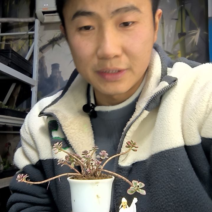 做***-中青园艺一物一拍花281