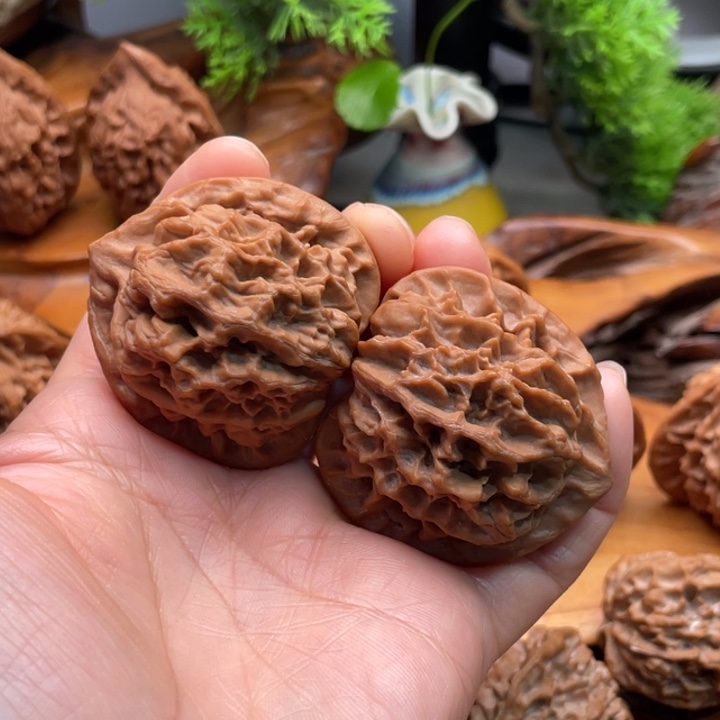 秦王大花43尺寸文玩