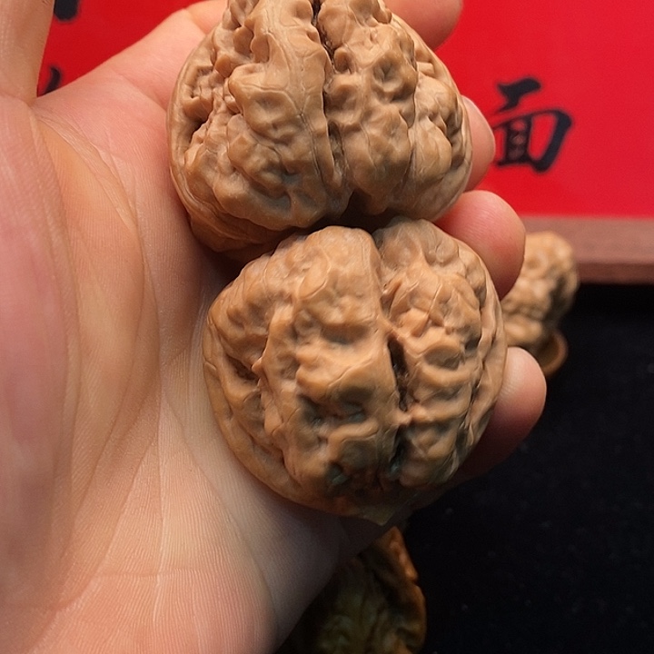 核桃延庆一代蛤蟆头蛤蟆头