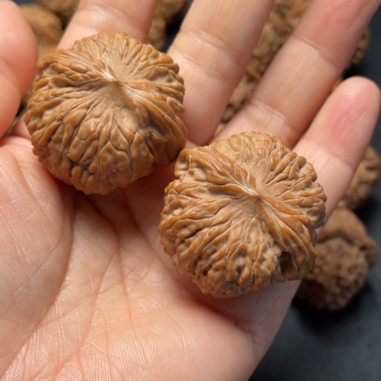 【闪购商品】把件文玩核桃无**师正磨……