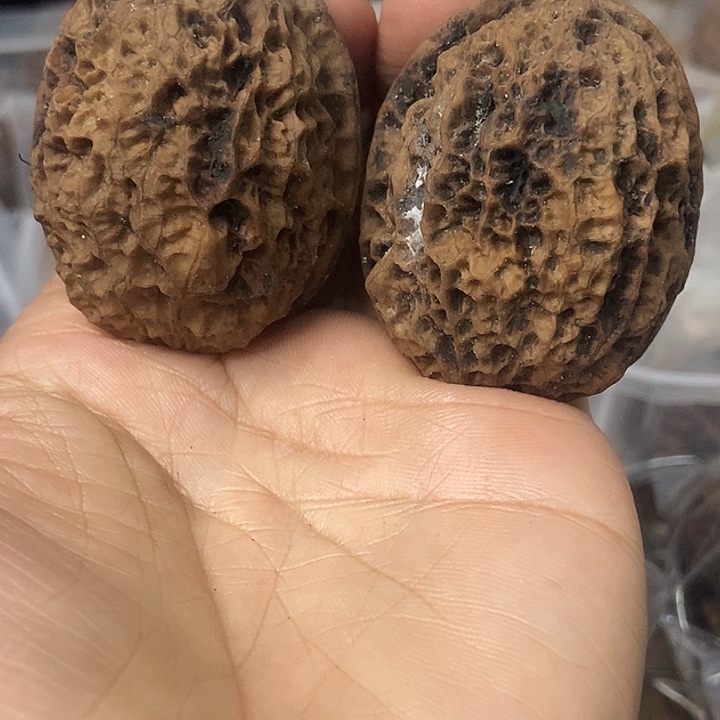 把件文玩核桃云南铁核桃基地81