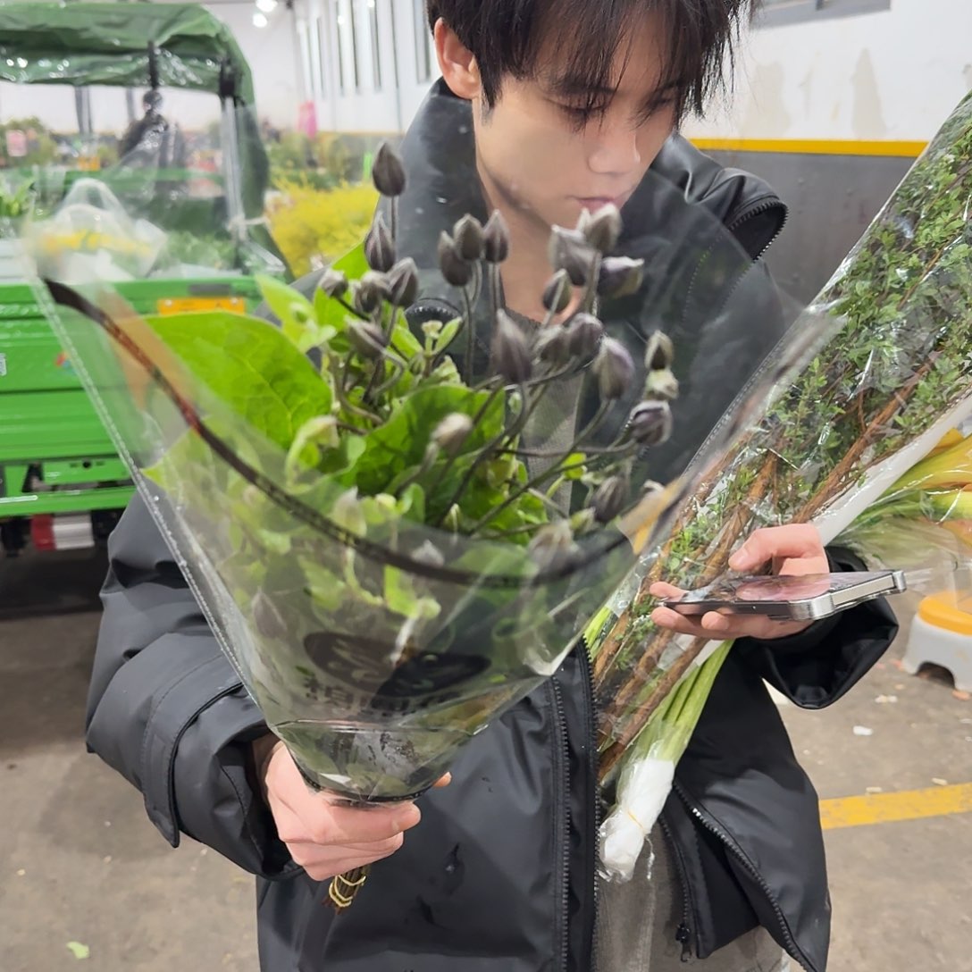 高品质铁线莲一扎