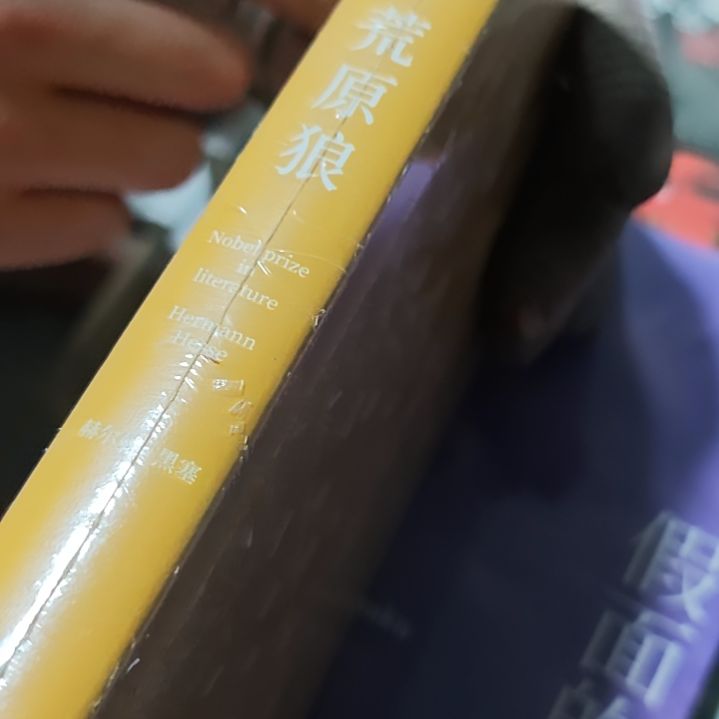 荒原狼精装库存书没书衣