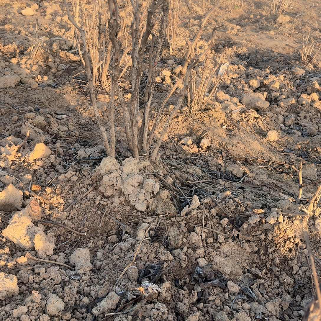 完全开放1111111111