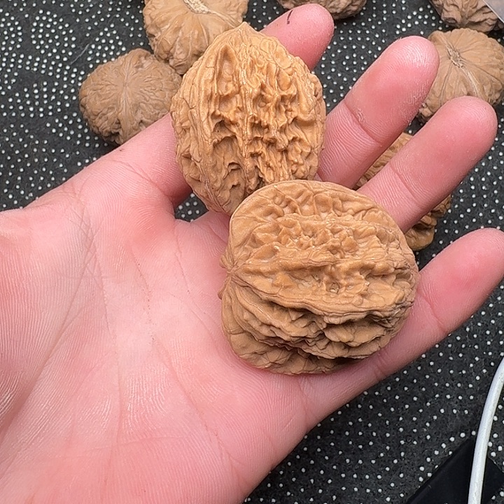 文玩核桃吊坠哈哈哈哈哈哈哈哈