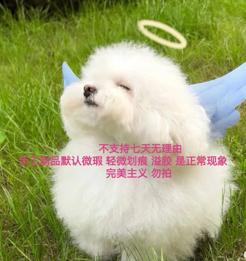 （连麦拍包）拍包申请连麦