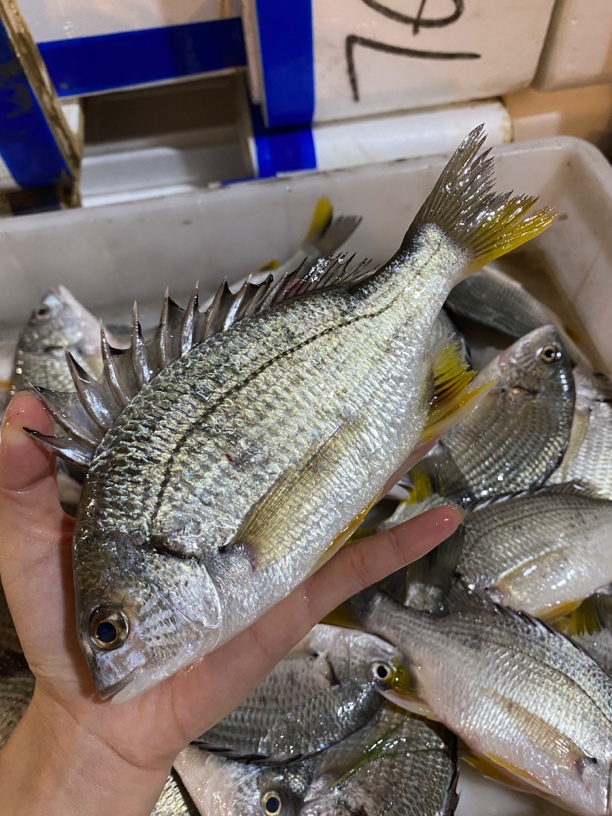 湛江野生黄脚立5斤顺丰包邮