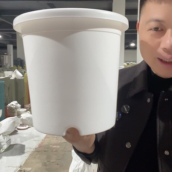 圆4号白4个无托盘