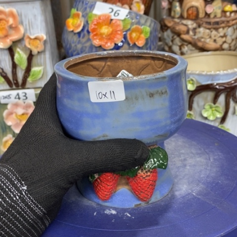 【闪购商品】红陶1