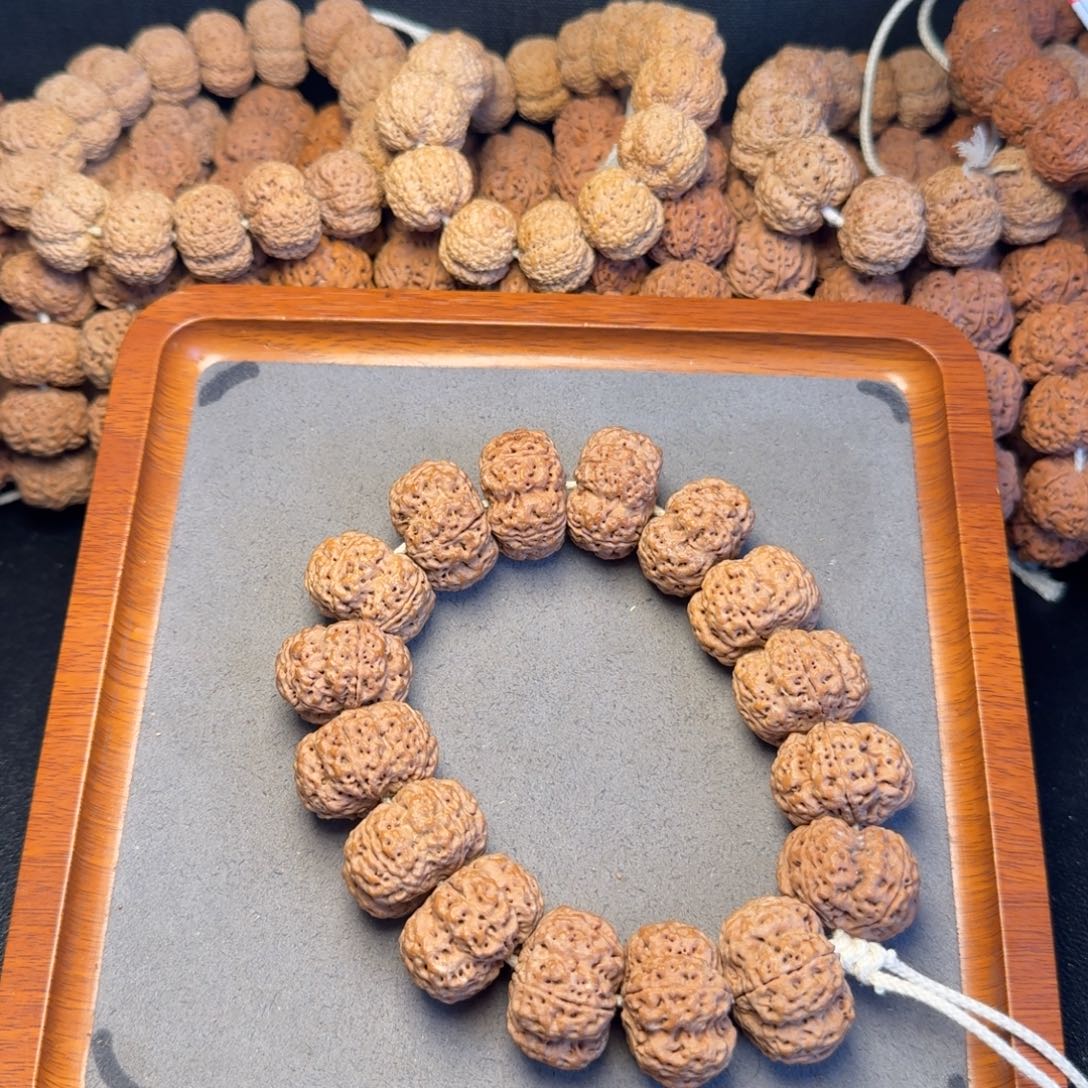 12号尼泊尔大金刚26粗筋梅花五龙梁夹板