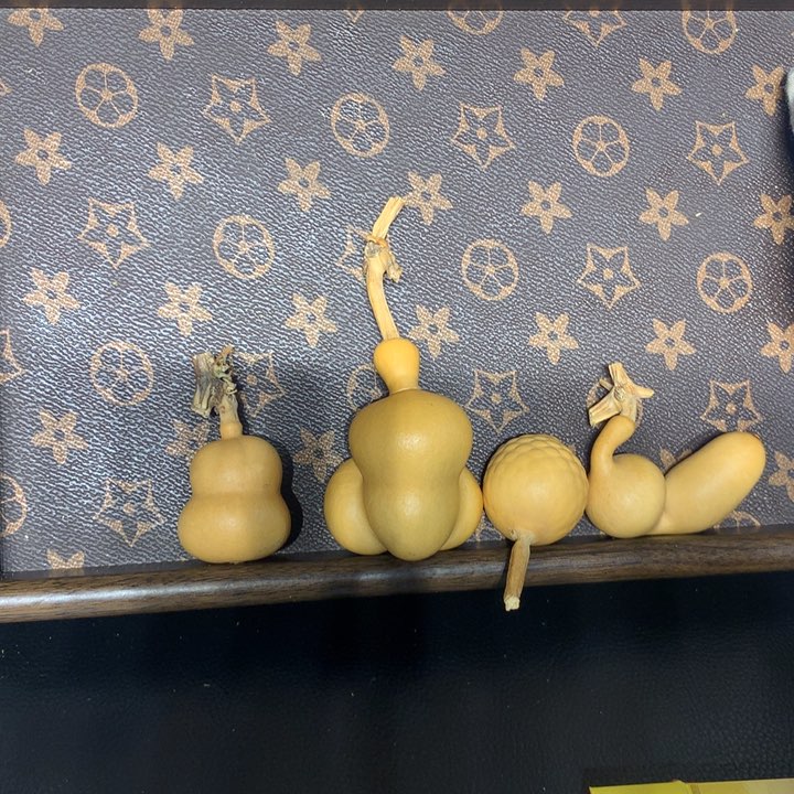 八宝豆奶奶都要健健康康开个