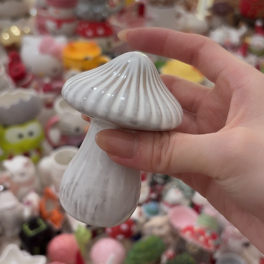 瓷片陶瓷完美主义慎拍