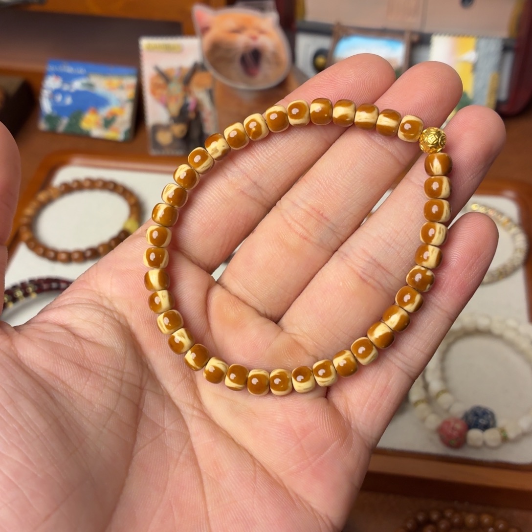 手串紫金鼠多样性的
