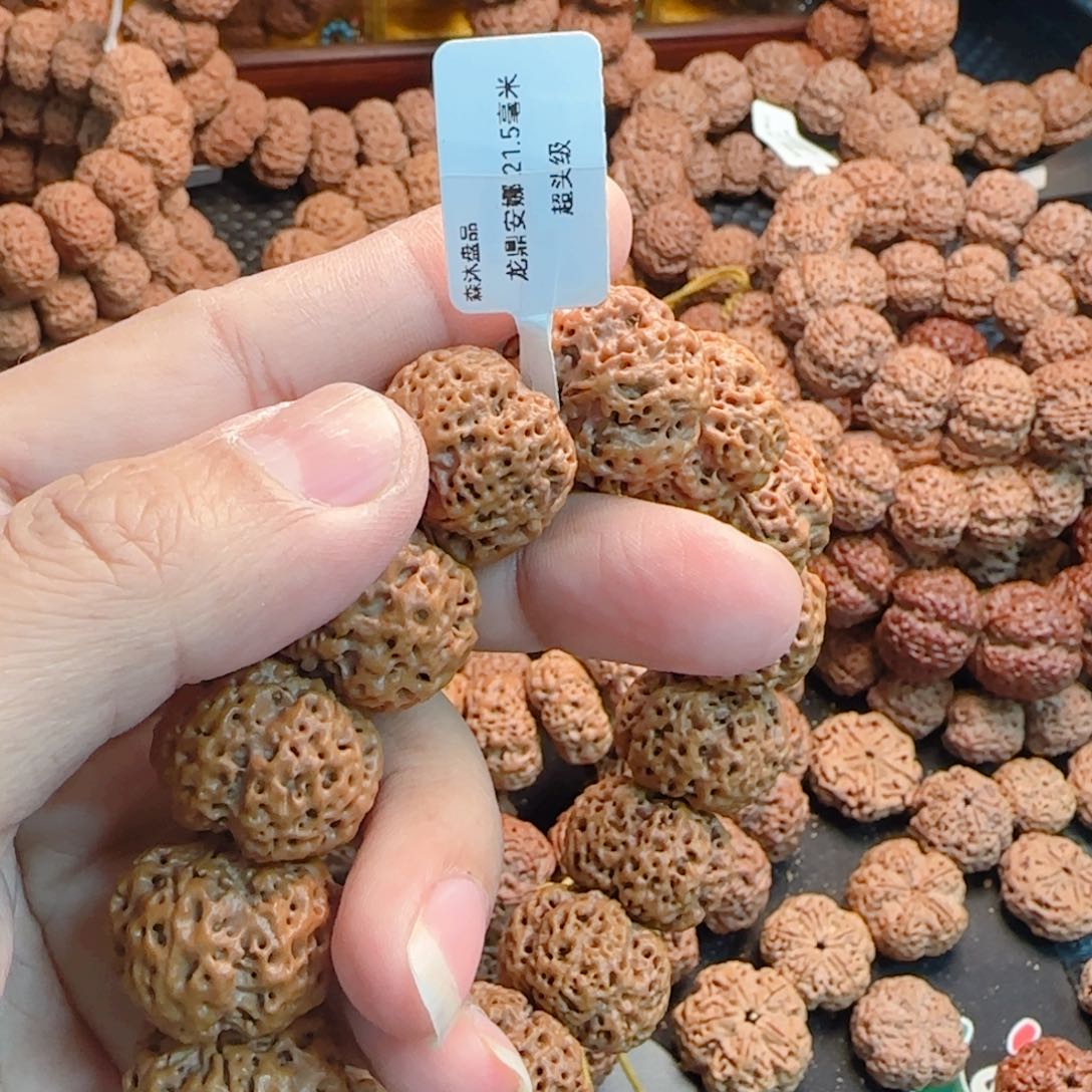 金刚菩提吊坠ℒ****龙鼎安娜21.5-36颗
