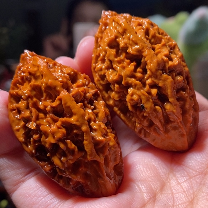 文玩核桃把件东北楸子小路 144