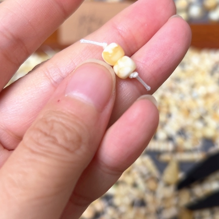 蜜蜡未镶嵌裸石6.1mm一对